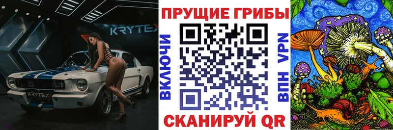 купить Магадан Псилоцибиновые грибы MAGIC MUSHROOMS